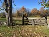 7-43 Pierce Road photo